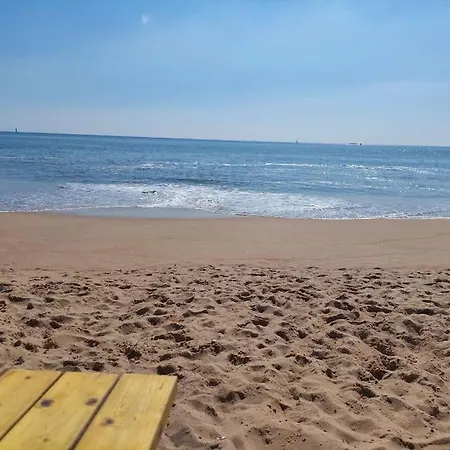 Hébergement de vacances Maison 3 Piscines - Résidence 3 étoiles *